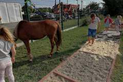 IMG_20210830_163236