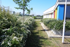 DSC05850