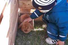 Husvet-2024-10