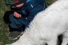 Husvet-2024-12